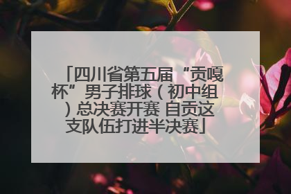 四川省第五届“贡嘎杯”男子排球（初中组）总决赛开赛 自贡这支队伍打进半决赛
