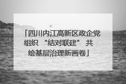 四川内江高新区政企党组织 “结对联建” 共绘基层治理新画卷