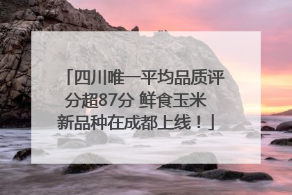 四川唯一平均品质评分超87分 鲜食玉米新品种在成都上线！