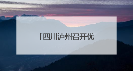 四川泸州召开优化营商网络环境专项行动工作推进会 涉企网络乱象集中整治初见成效