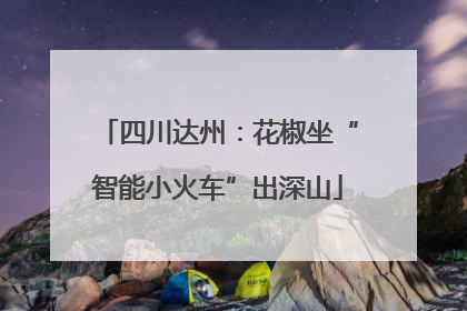 四川达州：花椒坐“智能小火车”出深山