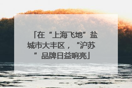 在“上海飞地”盐城市大丰区，“沪苏”品牌日益响亮