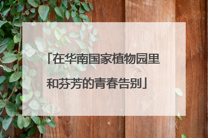 在华南国家植物园里和芬芳的青春告别