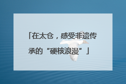 在太仓，感受非遗传承的“硬核浪漫”