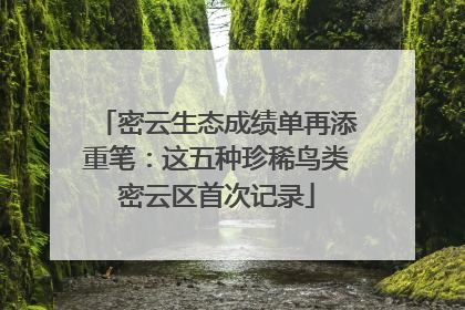 密云生态成绩单再添重笔：这五种珍稀鸟类密云区首次记录