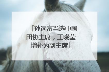 孙远富当选中国田协主席，王晓莹增补为副主席