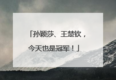 孙颖莎、王楚钦，今天也是冠军！