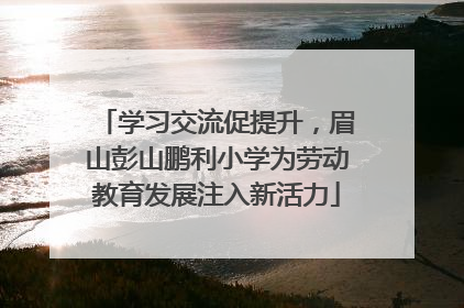学习交流促提升，眉山彭山鹏利小学为劳动教育发展注入新活力