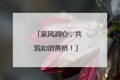 家风润心，共筑和谐黄桥！
