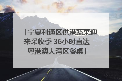 宁夏利通区供港蔬菜迎来采收季 36小时直达粤港澳大湾区餐桌