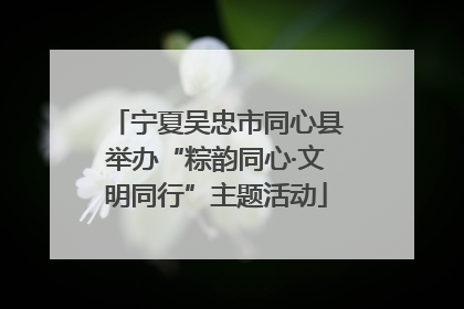 宁夏吴忠市同心县举办“粽韵同心·文明同行”主题活动