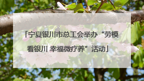 宁夏银川市总工会举办“劳模看银川 幸福微疗养”活动