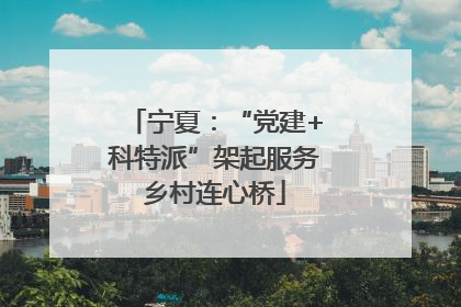 宁夏：“党建+科特派”架起服务乡村连心桥