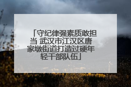 守纪律强素质敢担当 武汉市江汉区唐家墩街道打造过硬年轻干部队伍
