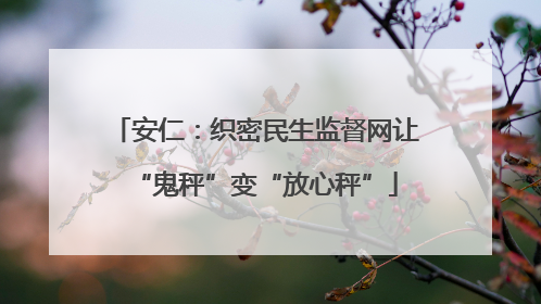 安仁：织密民生监督网让“鬼秤”变“放心秤”
