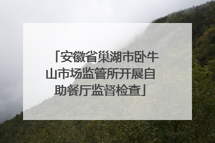 安徽省巢湖市卧牛山市场监管所开展自助餐厅监督检查