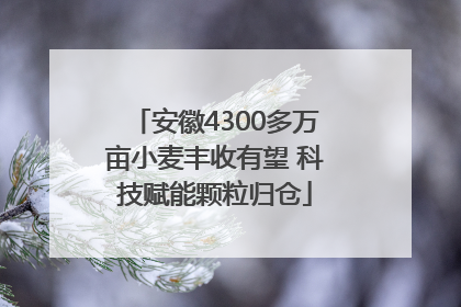 安徽4300多万亩小麦丰收有望 科技赋能颗粒归仓
