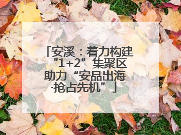 安溪：着力构建“1+2”集聚区 助力“安品出海·抢占先机”