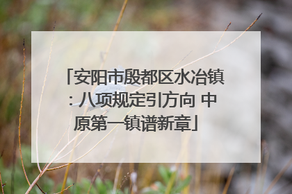 安阳市殷都区水冶镇：八项规定引方向 中原第一镇谱新章