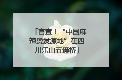 官宣！“中国麻辣烫发源地”在四川乐山五通桥