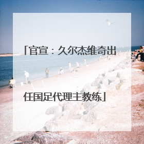 官宣：久尔杰维奇出任国足代理主教练