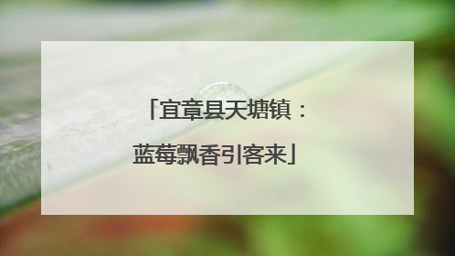 宜章县天塘镇：蓝莓飘香引客来
