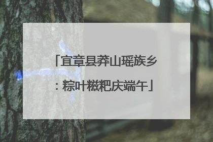 宜章县莽山瑶族乡：粽叶糍粑庆端午