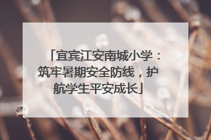宜宾江安南城小学：筑牢暑期安全防线，护航学生平安成长