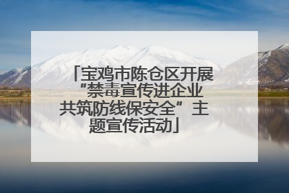 宝鸡市陈仓区开展“禁毒宣传进企业 共筑防线保安全”主题宣传活动