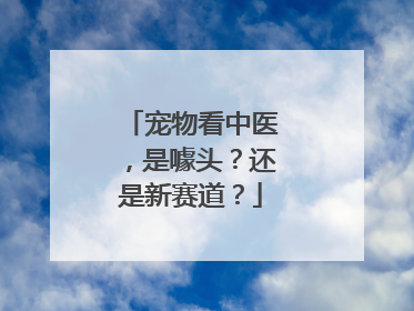宠物看中医，是噱头？还是新赛道？