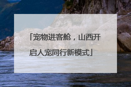 宠物进客舱，山西开启人宠同行新模式