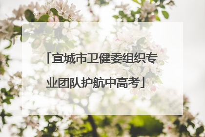 宣城市卫健委组织专业团队护航中高考