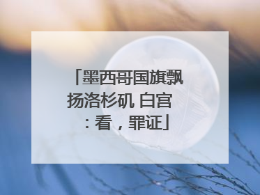 墨西哥国旗飘扬洛杉矶 白宫：看，罪证