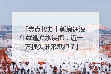 壹点帮办丨新房还没住就遭粪水浸泡，近十万损失谁来承担？