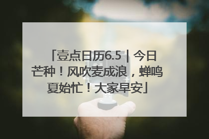 壹点日历6.5｜今日芒种！风吹麦成浪，蝉鸣夏始忙！大家早安