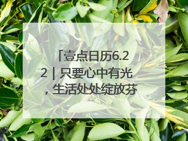 壹点日历6.22｜只要心中有光，生活处处绽放芬芳！周末愉快