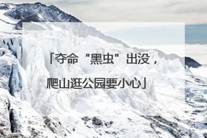 夺命“黑虫”出没，爬山逛公园要小心