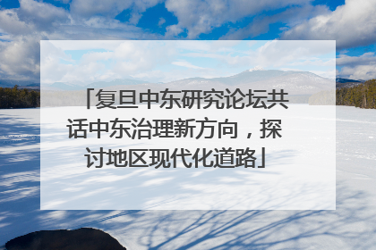 复旦中东研究论坛共话中东治理新方向，探讨地区现代化道路