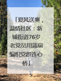 夏风送爽，温情社区：新城街道76岁老党员用蒲扇编织党群连心桥