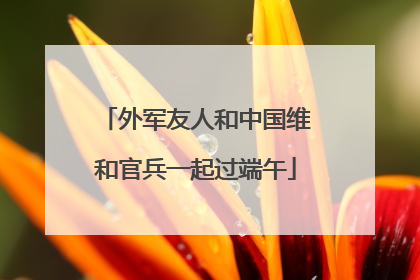 外军友人和中国维和官兵一起过端午