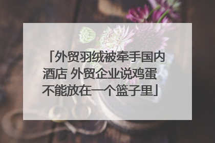 外贸羽绒被牵手国内酒店 外贸企业说鸡蛋不能放在一个篮子里