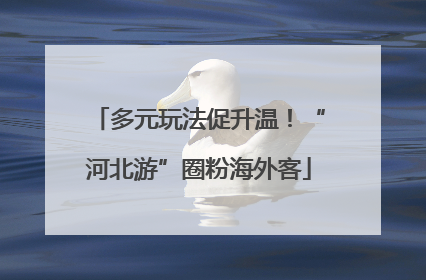 多元玩法促升温！“河北游”圈粉海外客