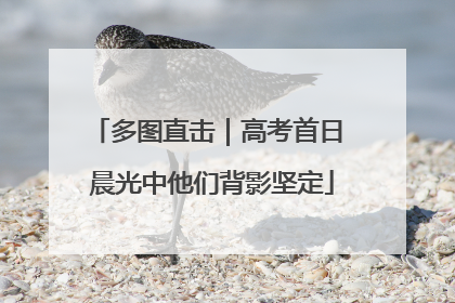 多图直击｜高考首日 晨光中他们背影坚定