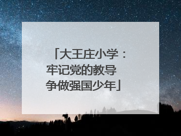 大王庄小学：牢记党的教导 争做强国少年
