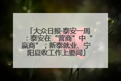 大众日报·泰安一周：泰安在“营商”中“赢商”；新泰就业、宁阳夏收工作上要闻