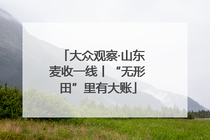 大众观察·山东麦收一线丨“无形田”里有大账