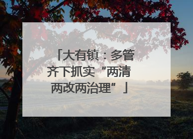 大有镇：多管齐下抓实“两清两改两治理”
