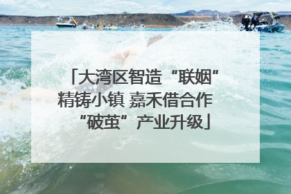 大湾区智造“联姻”精铸小镇 嘉禾借合作“破茧”产业升级