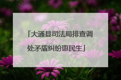 大通县司法局排查调处矛盾纠纷惠民生