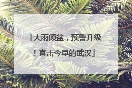 大雨倾盆，预警升级！直击今早的武汉